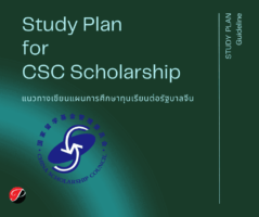 study plan csc scholarship